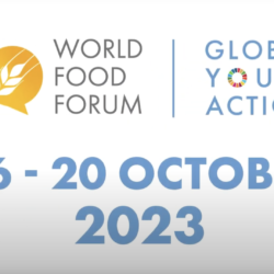 FAO to convene Asia-Pacific youth for the World Food Forum 2023
